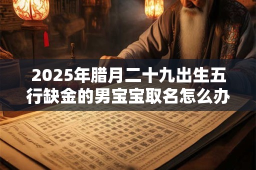 2025年腊月二十九出生五行缺金的男宝宝取名怎么办