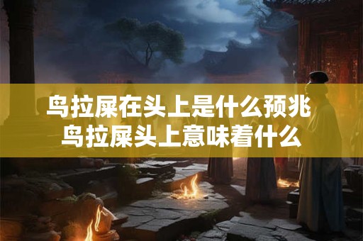 鸟拉屎在头上是什么预兆 鸟拉屎头上意味着什么