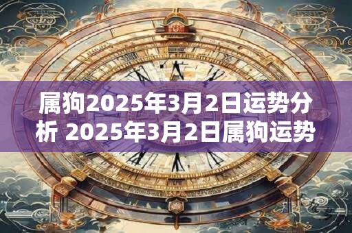 属狗2025年3月2日运势分析 2025年3月2日属狗运势分析