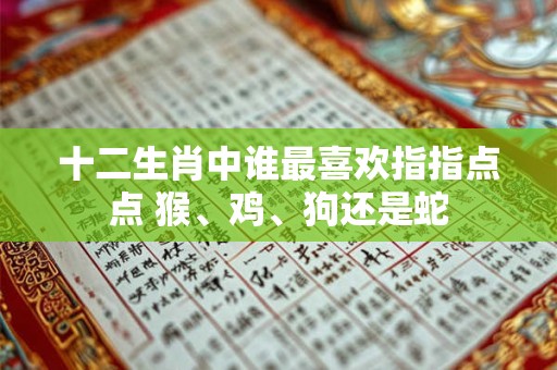 十二生肖中谁最喜欢指指点点 猴、鸡、狗还是蛇