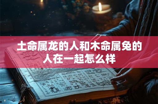土命属龙的人和木命属兔的人在一起怎么样