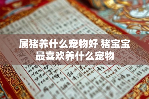 属猪养什么宠物好 猪宝宝最喜欢养什么宠物