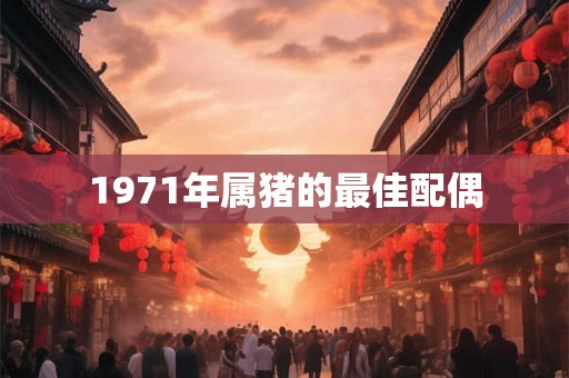 1971年属猪的最佳配偶