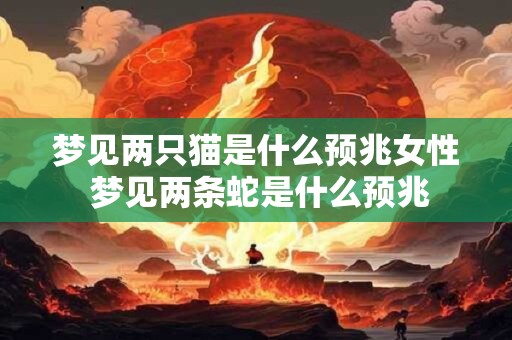 梦见两只猫是什么预兆女性 梦见两条蛇是什么预兆