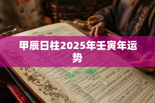 甲辰日柱2026年壬寅年运势