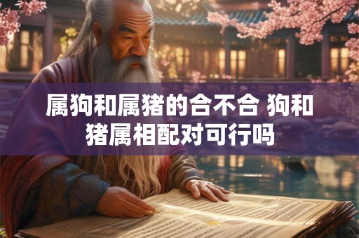 属狗和属猪的合不合 狗和猪属相配对可行吗