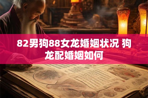 82男狗88女龙婚姻状况 狗龙配婚姻如何
