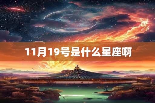 11月19号是什么星座啊