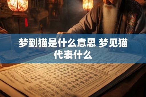 梦到猫是什么意思 梦见猫代表什么