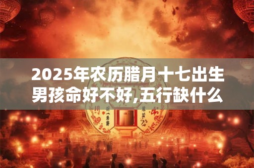 2025年农历腊月十七出生男孩命好不好,五行缺什么？