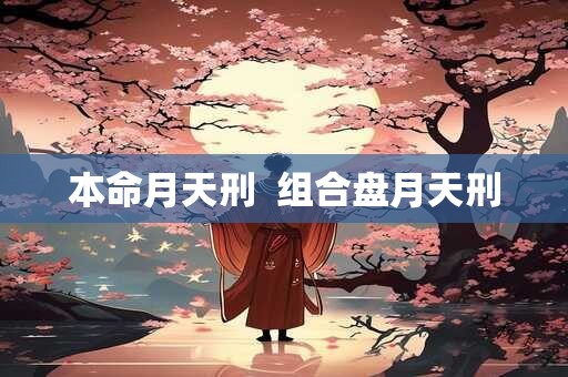 本命月天刑  组合盘月天刑