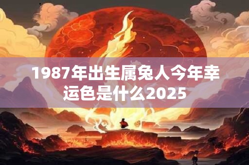 1987年出生属兔人今年幸运色是什么2025