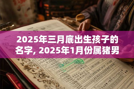 2025年三月底出生孩子的名字, 2025年1月份属猪男宝宝取名