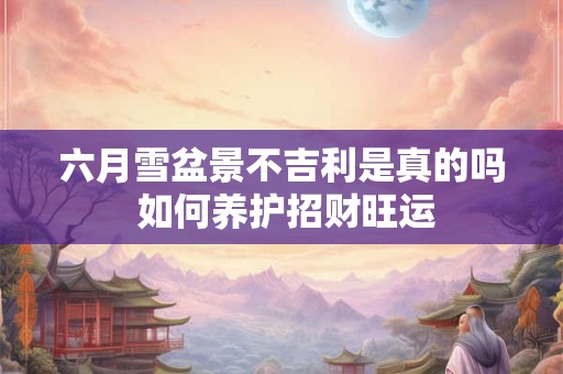 六月雪盆景不吉利是真的吗 如何养护招财旺运