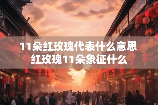 11朵红玫瑰代表什么意思 红玫瑰11朵象征什么