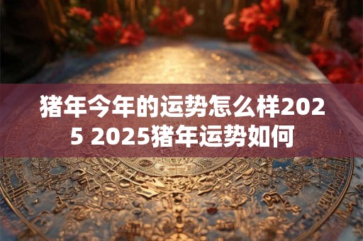 猪年今年的运势怎么样2025 2025猪年运势如何