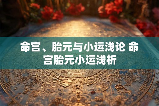 命宫、胎元与小运浅论 命宫胎元小运浅析 命宫、胎元与小运浅论 命宫胎元小运浅析