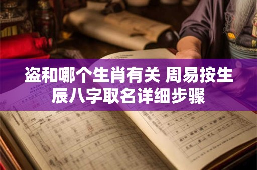 盗和哪个生肖有关 周易按生辰八字取名详细步骤