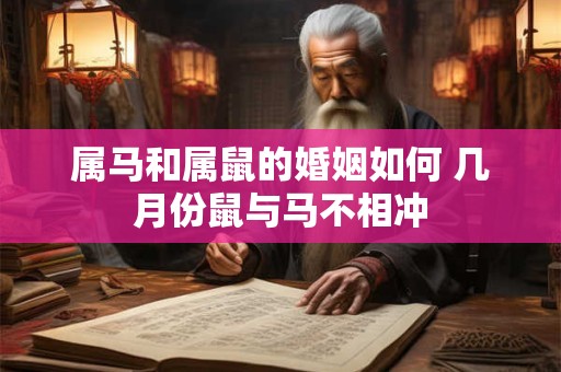 属马和属鼠的婚姻如何 几月份鼠与马不相冲