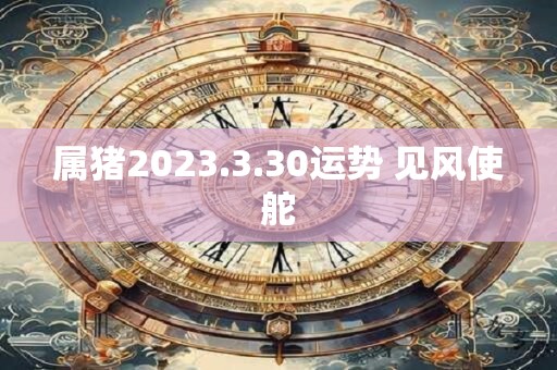 属猪2023.3.30运势 见风使舵