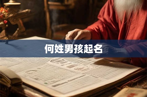 何姓男孩起名