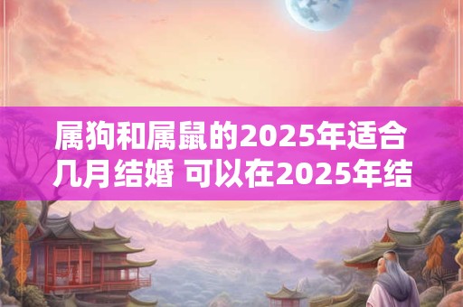 属狗和属鼠的2026年适合几月结婚 可以在2026年结婚吗 属狗和属鼠的2026年适合几月结婚 可以在2026年结婚吗