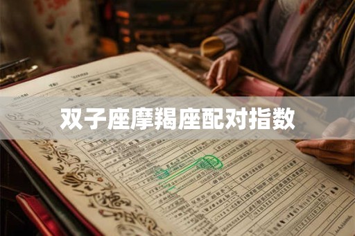 双子座摩羯座配对指数