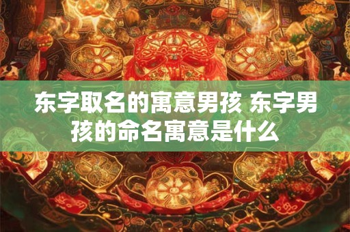 东字取名的寓意男孩 东字男孩的命名寓意是什么