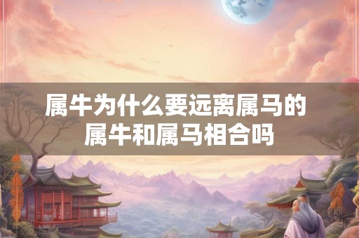 属牛为什么要远离属马的 属牛和属马相合吗