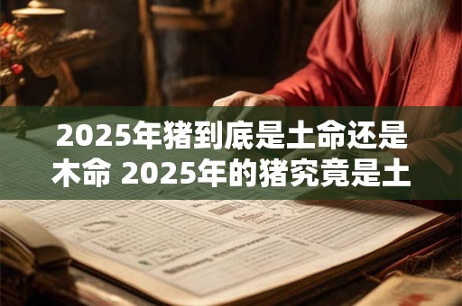 2025年猪到底是土命还是木命 2025年的猪究竟是土命还是木命