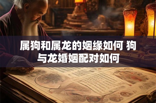 属狗和属龙的姻缘如何 狗与龙婚姻配对如何