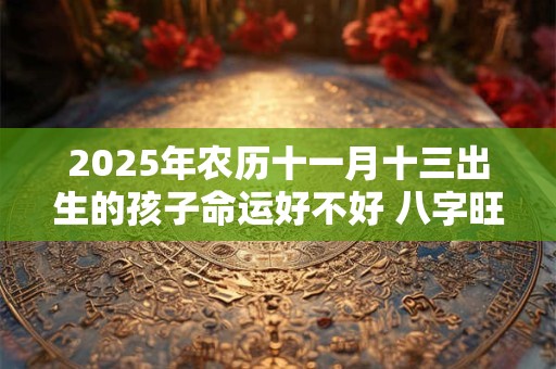 2025年农历十一月十三出生的孩子命运好不好 八字旺吗
