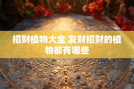 招财植物大全 发财招财的植物都有哪些