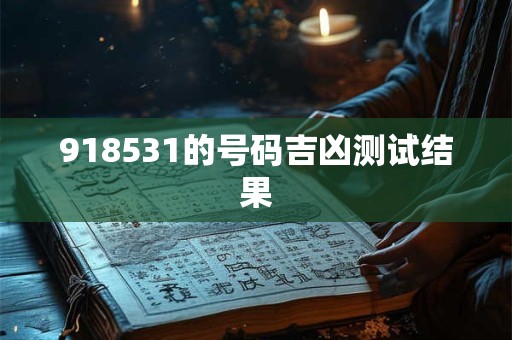 918531的号码吉凶测试结果