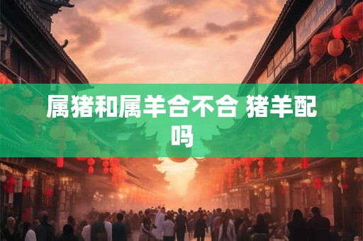 属猪和属羊合不合 猪羊配吗