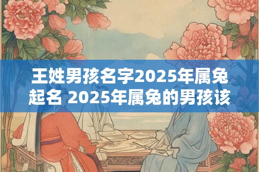 王姓男孩名字2025年属兔起名 2025年属兔的男孩该取什么名字