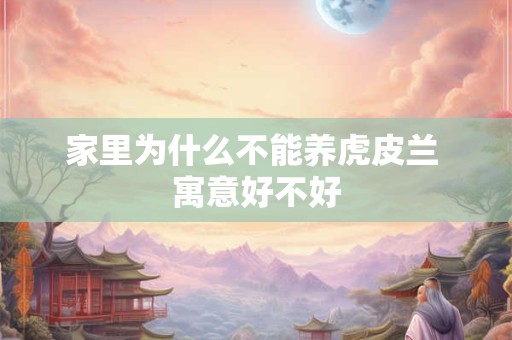 家里为什么不能养虎皮兰 寓意好不好