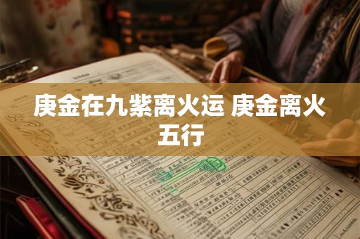 庚金在九紫离火运 庚金离火五行