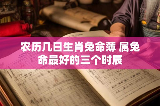农历几日生肖兔命薄 属兔命最好的三个时辰