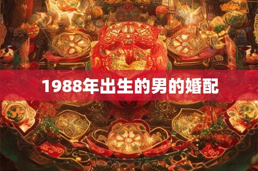 1988年出生的男的婚配 1988年出生的男的婚配