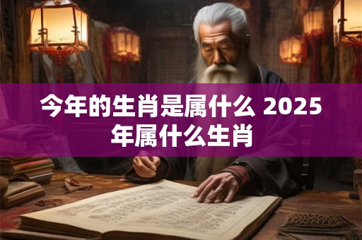 今年的生肖是属什么 2025年属什么生肖