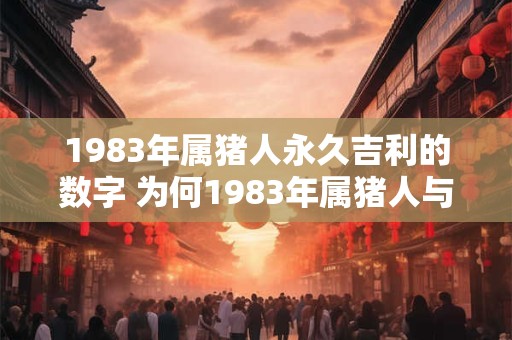 1983年属猪人永久吉利的数字 为何1983年属猪人与数字888永久相关联预示着永久的吉祥和好运