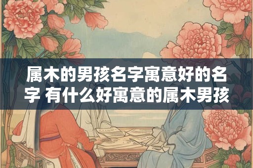 属木的男孩名字寓意好的名字 有什么好寓意的属木男孩名字推荐