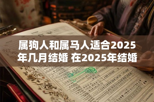 属狗人和属马人适合2025年几月结婚 在2025年结婚好吗 属狗人和属马人适合2025年几月结婚 在2025年结婚好吗