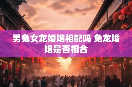 男兔女龙婚姻相配吗 兔龙婚姻是否相合