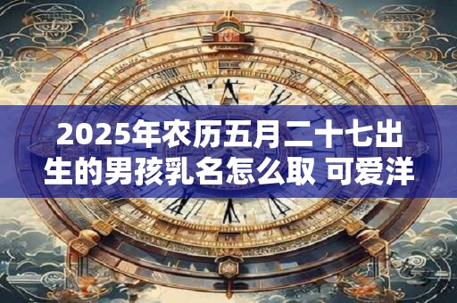 2025年农历五月二十七出生的男孩乳名怎么取 可爱洋气一些的乳名