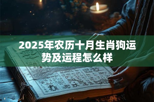 2025年农历十月生肖狗运势及运程怎么样