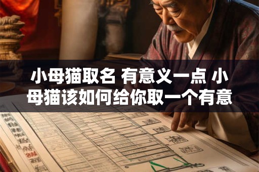 小母猫取名 有意义一点 小母猫该如何给你取一个有意义的名字 小母猫取名 有意义一点 小母猫该如何给你取一个有意义的名字
