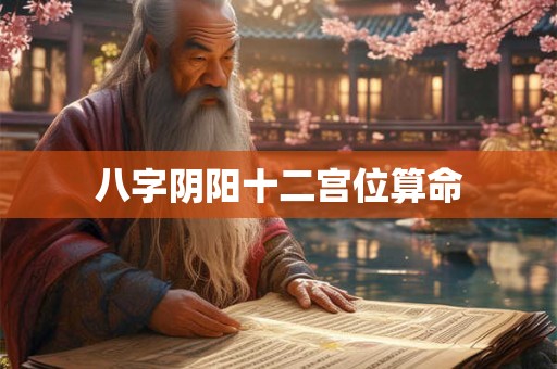 八字阴阳十二宫位算命 八字阴阳十二宫位算命