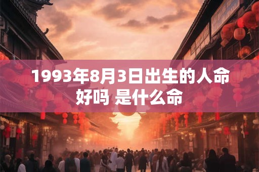 1993年8月3日出生的人命好吗 是什么命